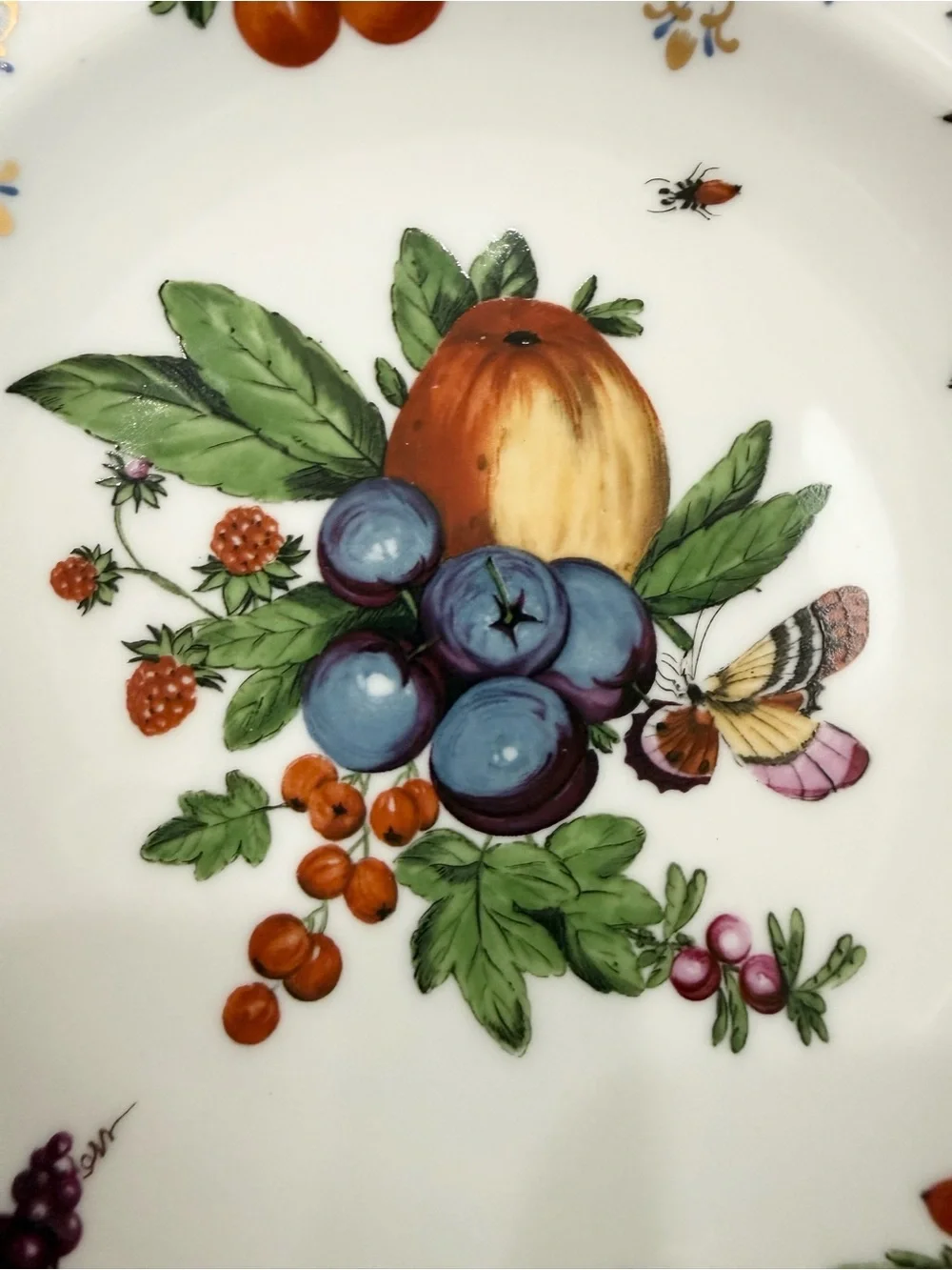 1 Duke of Gloucester by Mottahedeh Williamsburg Botanical Fruits 8